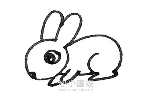 小白兔简笔画画法图片步骤步骤7