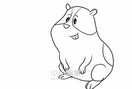 绘本故事可爱豚鼠简笔画画法图片步骤