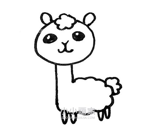 彩色羊驼简笔画画法图片步骤步骤6