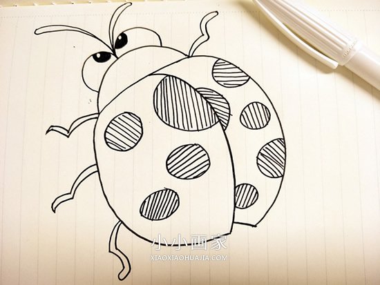 绘本故事卡通瓢虫简笔画画法图片步骤