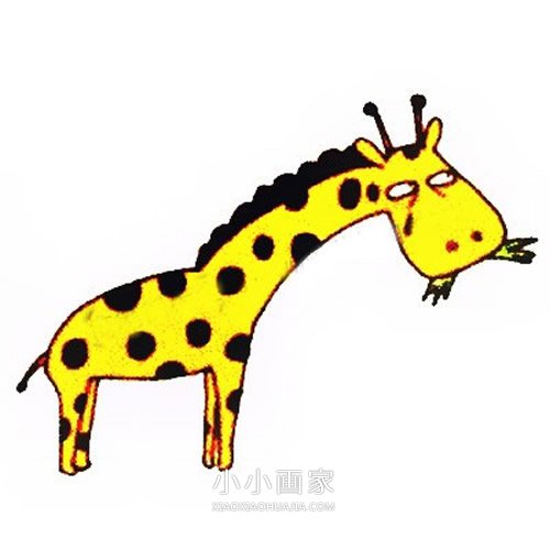 绘本故事囧囧的卡通长颈鹿简笔画画法图片步骤