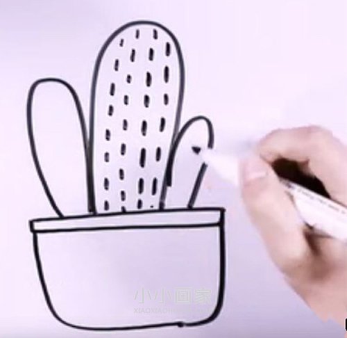 仙人掌盆栽简笔画画法图片步骤步骤4