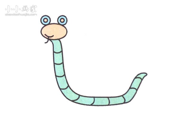 可爱眼镜蛇简笔画画法图片步骤步骤1