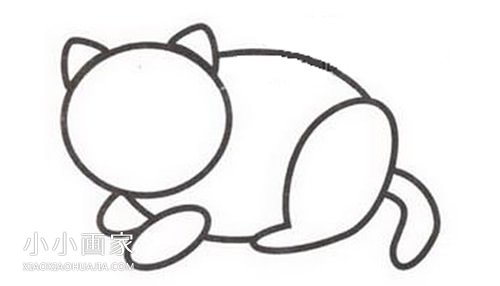 趴伏的小黄猫简笔画画法图片步骤步骤4