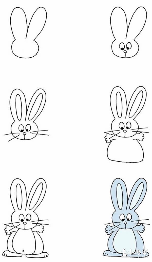 绘本故事小兔子简笔画画法图片步骤