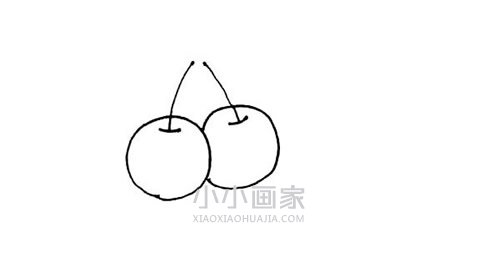 红色樱桃简笔画画法图片步骤步骤3