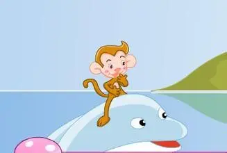 猴子与海豚