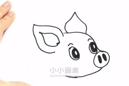 可爱卡通小猪简笔画画法图片步骤步骤5