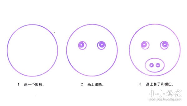野猪简笔画画法图片步骤步骤2