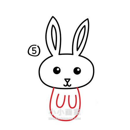 卡通小白兔简笔画画法图片步骤步骤6