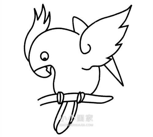 简单鹦鹉简笔画画法图片步骤步骤5