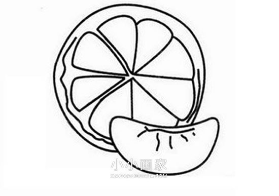 简单橘子简笔画画法图片步骤步骤5