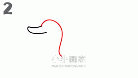 水中游的鸭子简笔画画法图片步骤步骤2