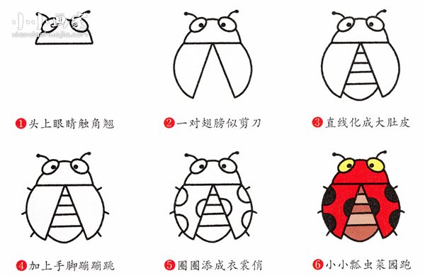 绘本故事可爱七星瓢虫简单画画法图片步骤