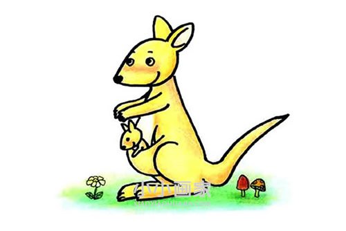 绘本故事袋鼠妈妈和小袋鼠简笔画画法图片步骤