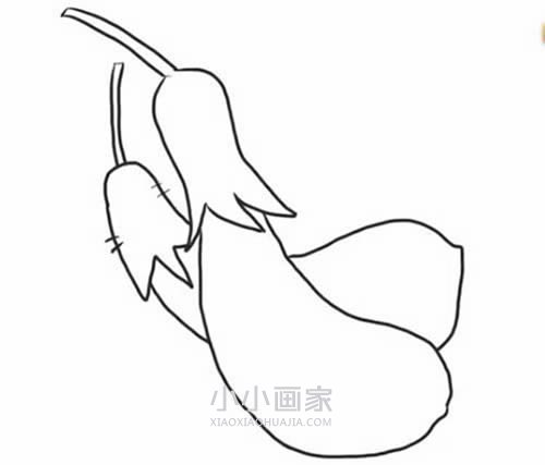 两只茄子简笔画画法图片步骤