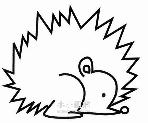 可爱小刺猬简笔画画法图片步骤步骤1