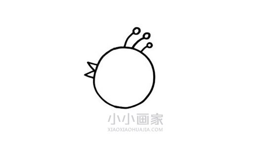 卡通小鸟简笔画画法图片步骤步骤3