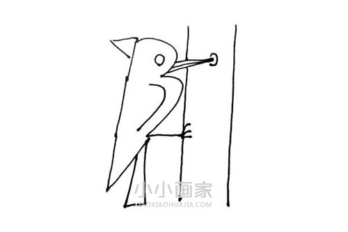 吃虫子啄木鸟简笔画画法图片步骤步骤6