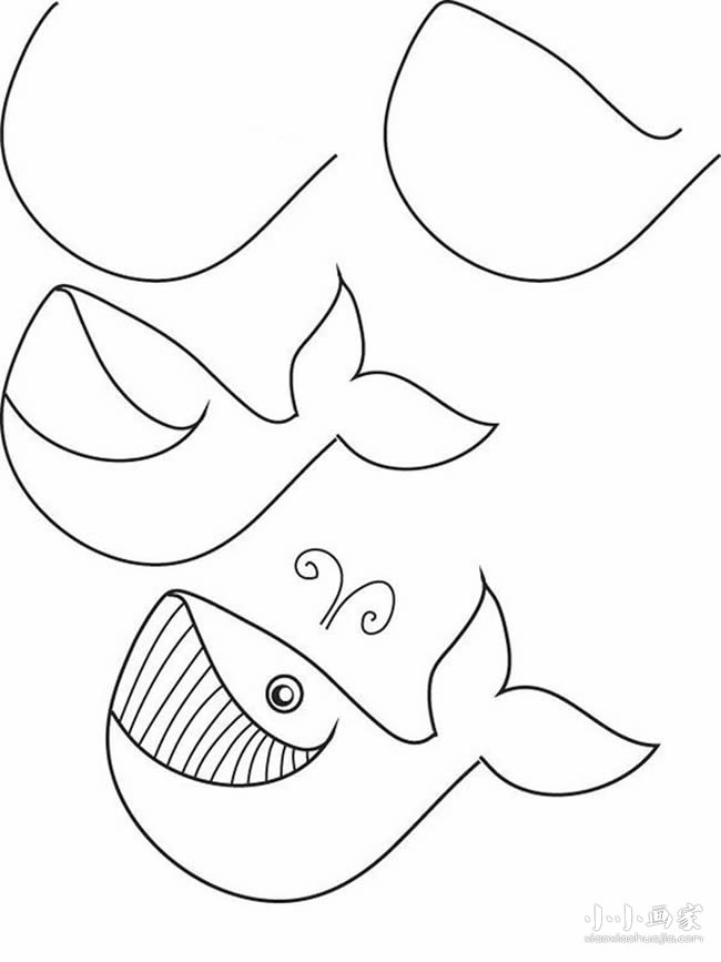 绘本故事咧嘴笑的鲸鱼简笔画画法图片步骤