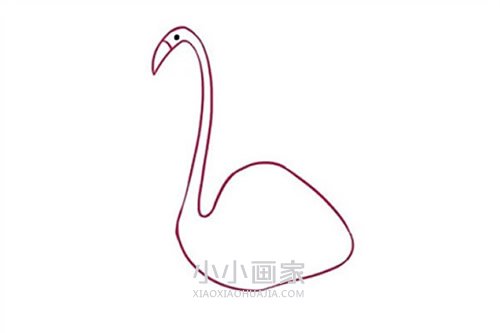 彩色火烈鸟简笔画画法图片步骤步骤3