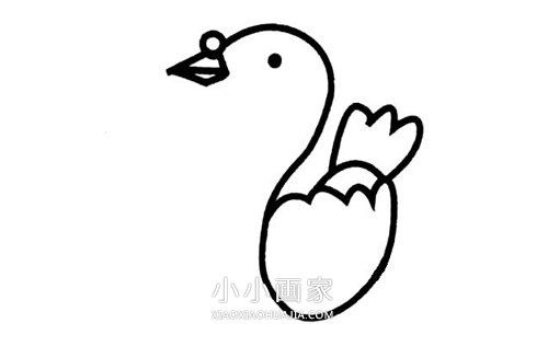 简单鸽子简笔画画法图片步骤步骤2