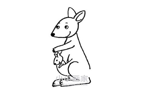 袋鼠妈妈和小袋鼠简笔画画法图片步骤步骤6