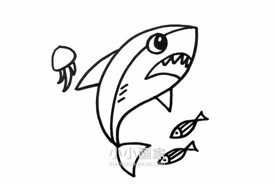 可怕鲨鱼简笔画画法图片步骤步骤4