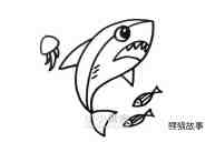 可怕鲨鱼简笔画画法图片步骤步骤4