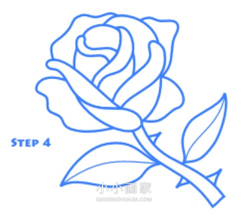 红色玫瑰花简笔画画法图片步骤步骤5