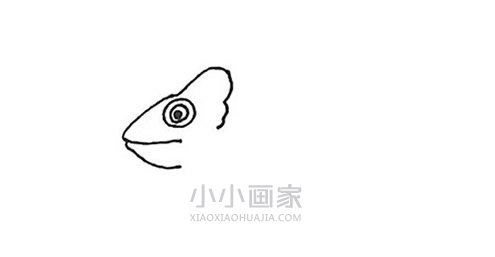 树枝上的变色龙简笔画画法图片步骤步骤2