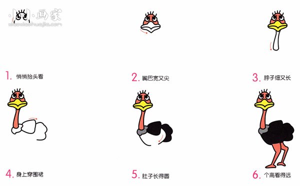 卡通鸵鸟简笔画画法图片步骤