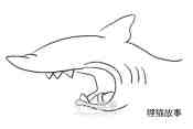 可怕的鲨鱼简笔画画法图片步骤步骤4
