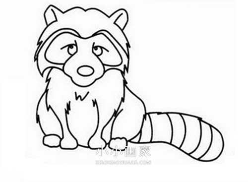 可爱小浣熊简笔画画法图片步骤步骤5