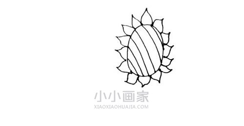 两棵向日葵简笔画画法图片步骤步骤4