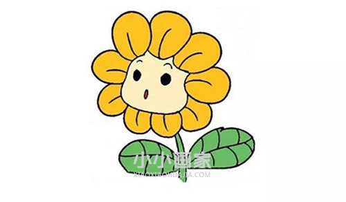 绘本故事彩色卡通向日葵简笔画画法图片步骤