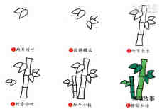 彩色竹子简笔画画法图片步骤步骤2