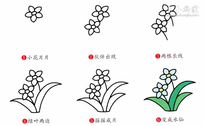 彩色水仙花简笔画画法图片步骤
