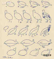 各种形态鸽子简笔画画法图片步骤步骤1