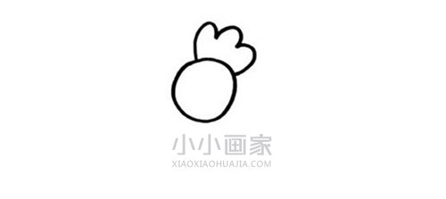 漂亮大公鸡简笔画画法图片步骤步骤2