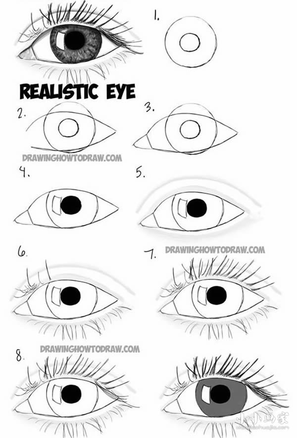 绘本故事逼真眼睛简笔画画法图片步骤