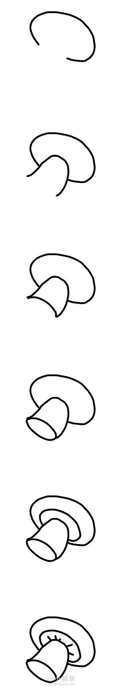 彩色蘑菇简笔画画法图片步骤