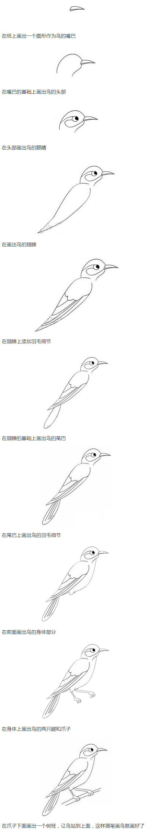 小鸟怎么画带步骤图简单又好看步骤1