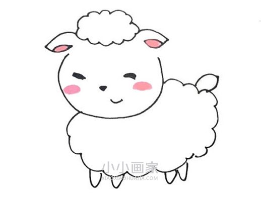 绘本故事卡通小绵羊简笔画画法图片步骤