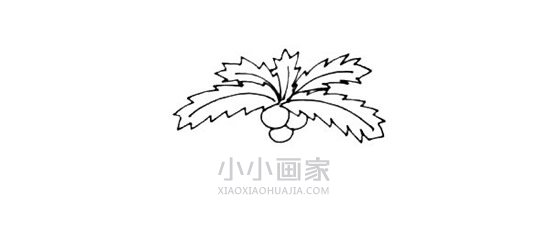 岛上的椰子树简笔画画法图片步骤步骤4