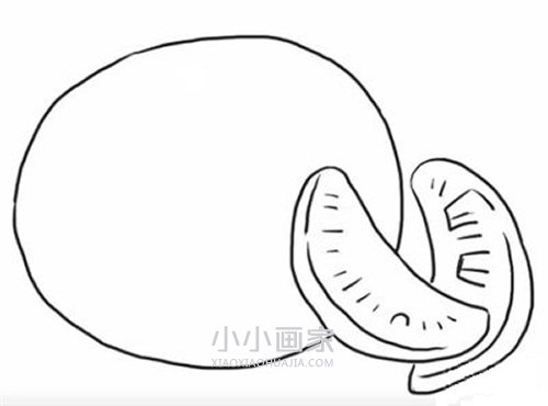 黑白橘子简笔画画法图片步骤步骤5