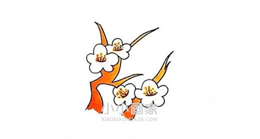 彩色梅花简笔画画法图片步骤