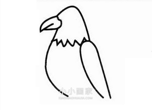 树枝上的老鹰简笔画画法图片步骤步骤2