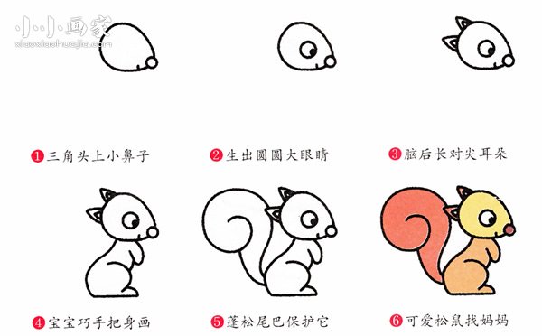 绘本故事可爱小松鼠简笔画画法图片步骤