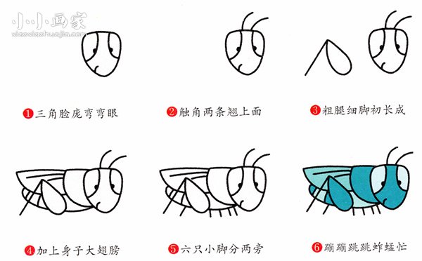 绘本故事彩色蚱蜢简笔画画法图片步骤